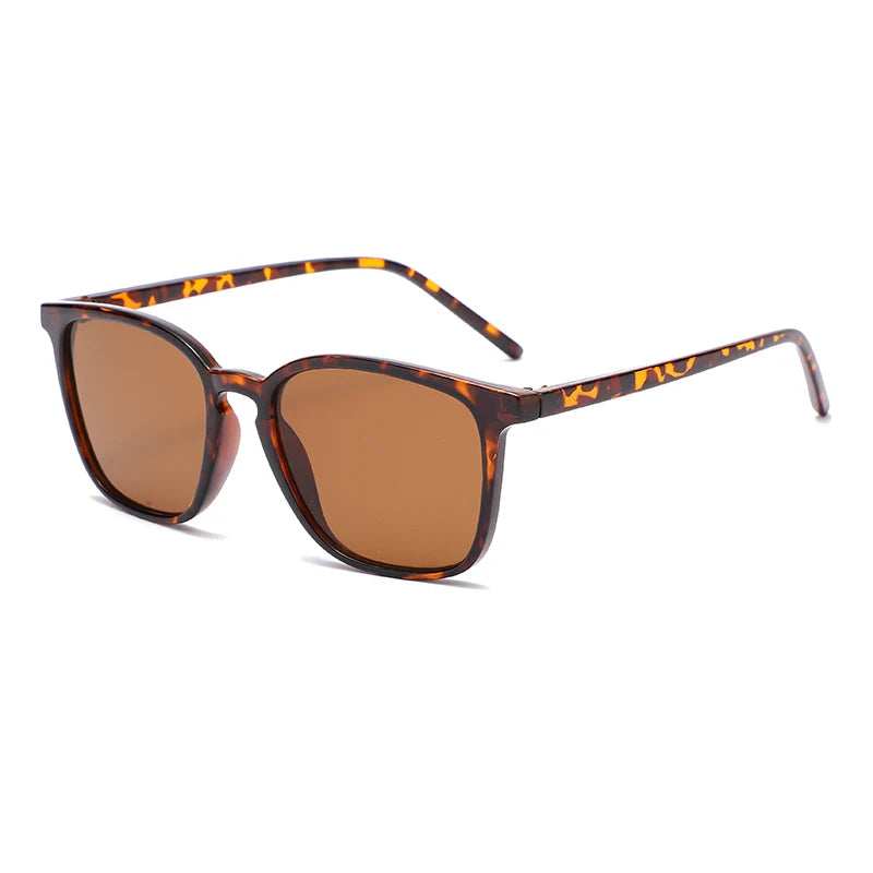 Rogue Haven Sunglasses
